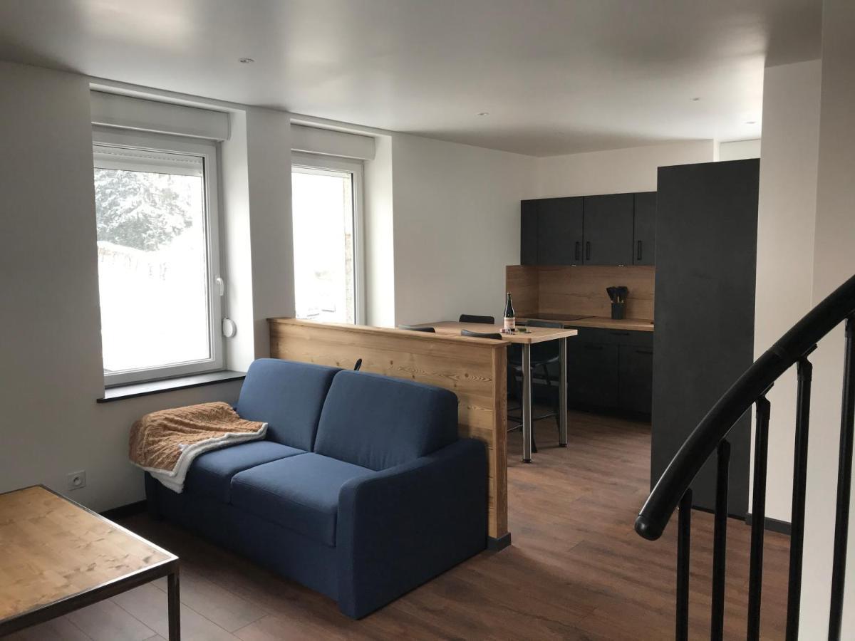 Le Duplex Διαμέρισμα Gérardmer Εξωτερικό φωτογραφία